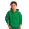 Kids Irish Green Pullover Hooded Neck Sweatshirt with Pouch Pocket Long Sleeve Regular Fit Solid Manufacturers, Suppliers, Exporters, Importers in San Diego