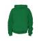 Kids Irish Green Pullover Hooded Neck Sweatshirt with Pouch Pocket Long Sleeve Regular Fit Solid Manufacturers, Suppliers, Exporters, Importers in San Diego